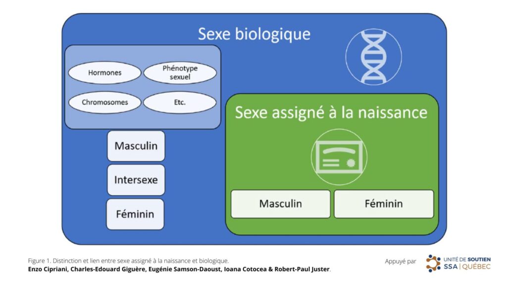 fig1_distinction_lien_sexe_naissance_et_bio_justeretal