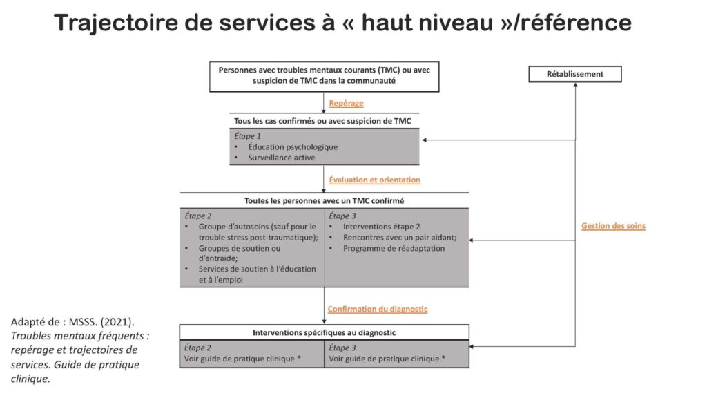 trajectoire_des_personnes_troubles_mentaux_courants_ruisss_sherbrooke