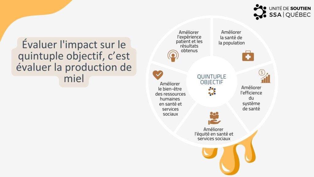 video_unite_ssa_quebec_analogie_ruche_quintuple_objectif